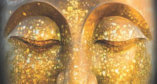 Мозг Будды: нейропсихология счастья, любви и мудрости